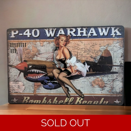 Bombshell Beauty Sign / P-40 Warhawk Sign / War Signs Bombshell Beauty Sign / P-40 Warhawk Sign / War Signs